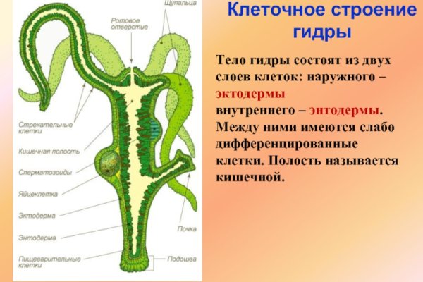 Ссылки на кракен маркетплейс